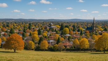 Sydney to Armidale Removals