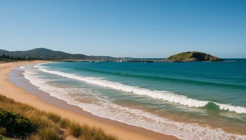 Sydney to Coffs Harbour Removals